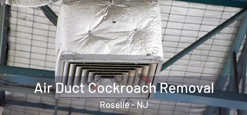 Air Duct Cockroach Removal Roselle - NJ
