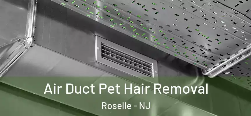 Air Duct Pet Hair Removal Roselle - NJ