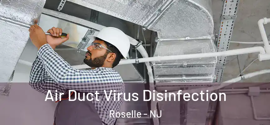  Air Duct Virus Disinfection Roselle - NJ