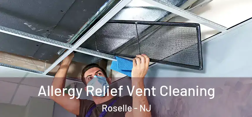 Allergy Relief Vent Cleaning Roselle - NJ