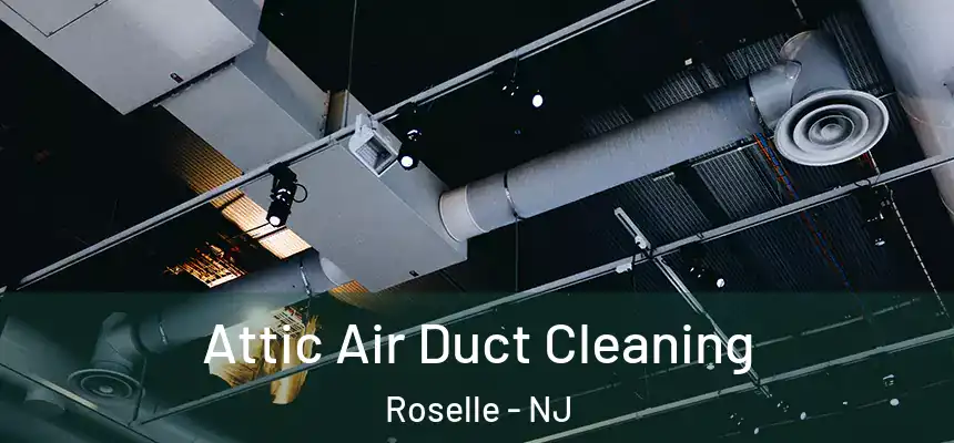 Attic Air Duct Cleaning Roselle - NJ