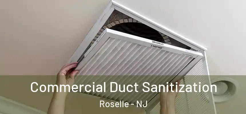  Commercial Duct Sanitization Roselle - NJ