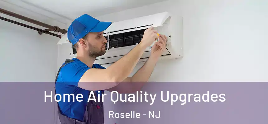 Home Air Quality Upgrades Roselle - NJ