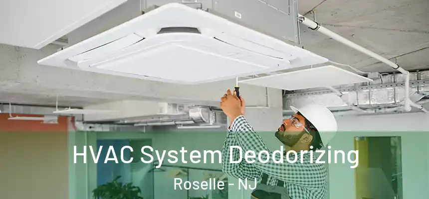  HVAC System Deodorizing Roselle - NJ