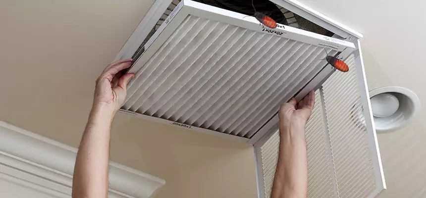 Our Insect Removal from Air Ducts Services in Roselle, NJ