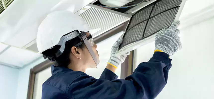 Our Mold & Mildew Removal from Air Ducts Services in Roselle, NJ