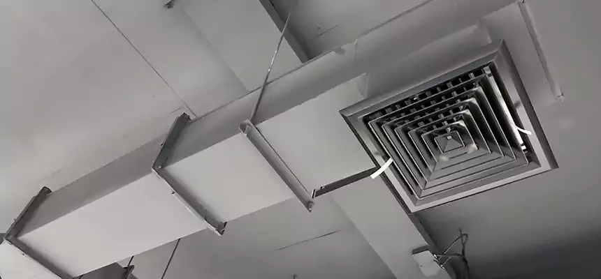 Our Rodent Droppings In Vents Services in Roselle, NJ