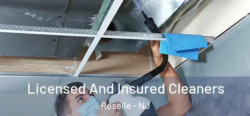  Licensed And Insured Cleaners Roselle - NJ