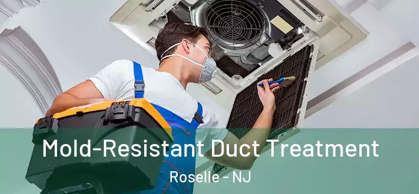  Mold-Resistant Duct Treatment Roselle - NJ
