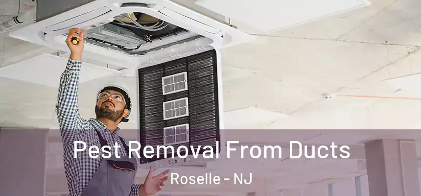 Pest Removal From Ducts Roselle - NJ