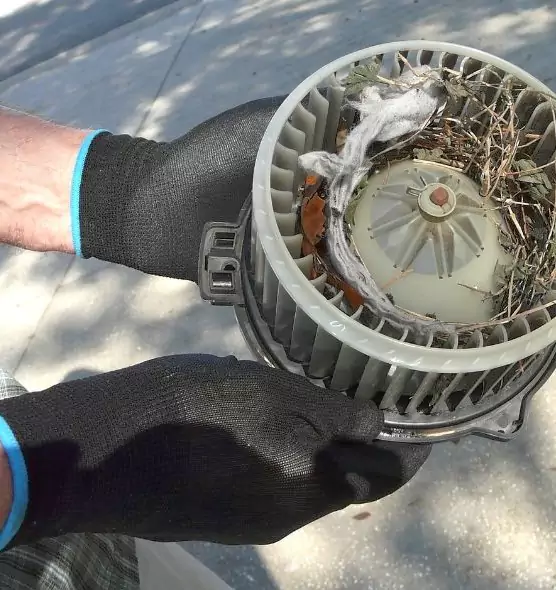 About Air Duct Mice Removal in Roselle, NJ