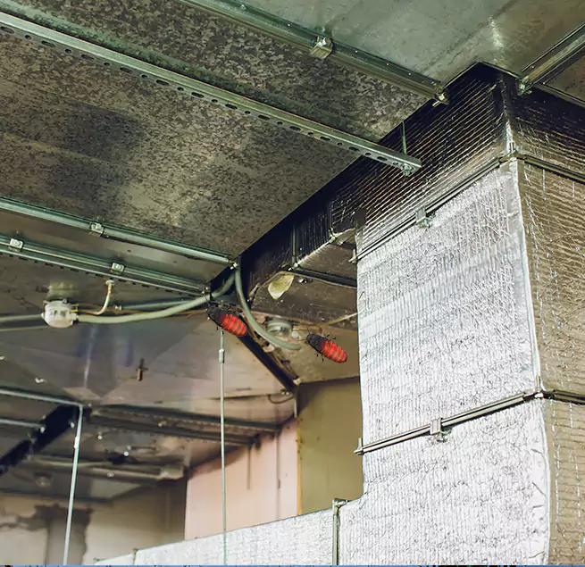 Why Homeowners & Businesses Trust Us in Roselle, NJ?