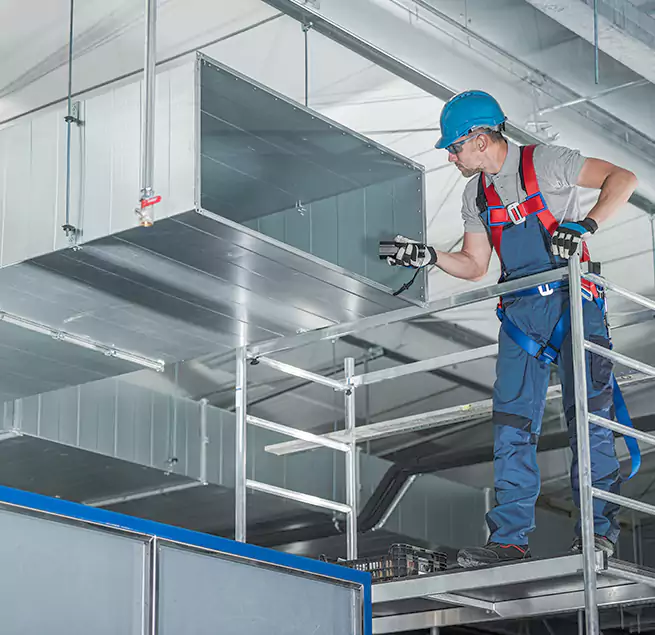 Why Homeowners & Businesses Trust Us in Roselle, NJ?