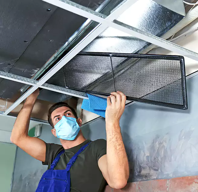 Why Homeowners Businesses Trust Us in Roselle, NJ