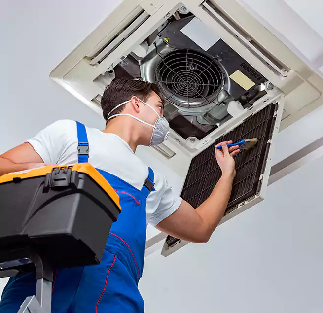 Why Homeowners & Businesses Trust Us in Roselle, NJ