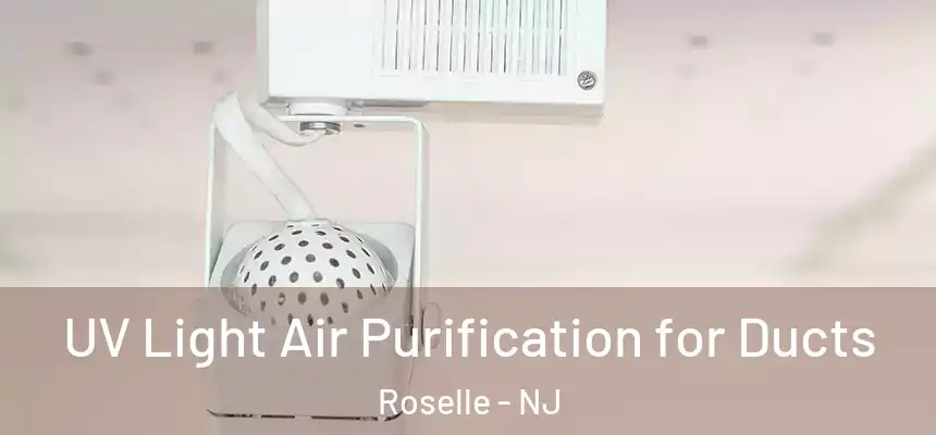 UV Light Air Purification for Ducts Roselle - NJ